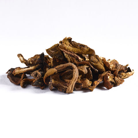 פטריות פורצ'יני מיובשות